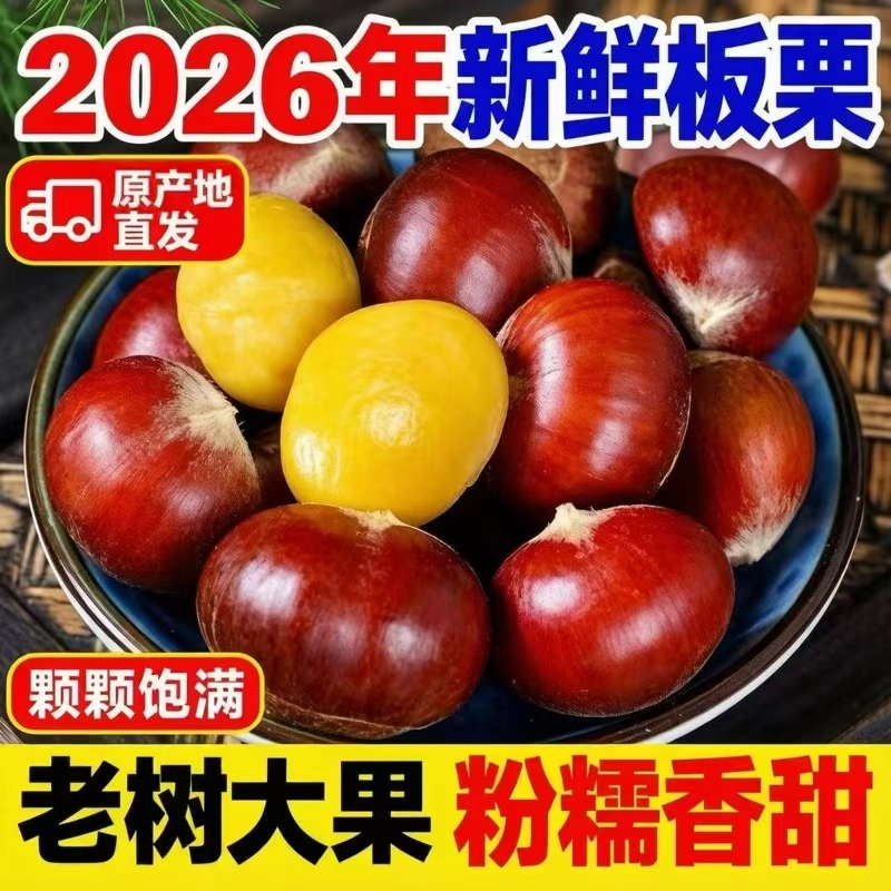 TL【13.9到手4.5斤】丹东大板栗新鲜栗子现摘蔬菜水果锥栗毛栗子 到手价¥13.90