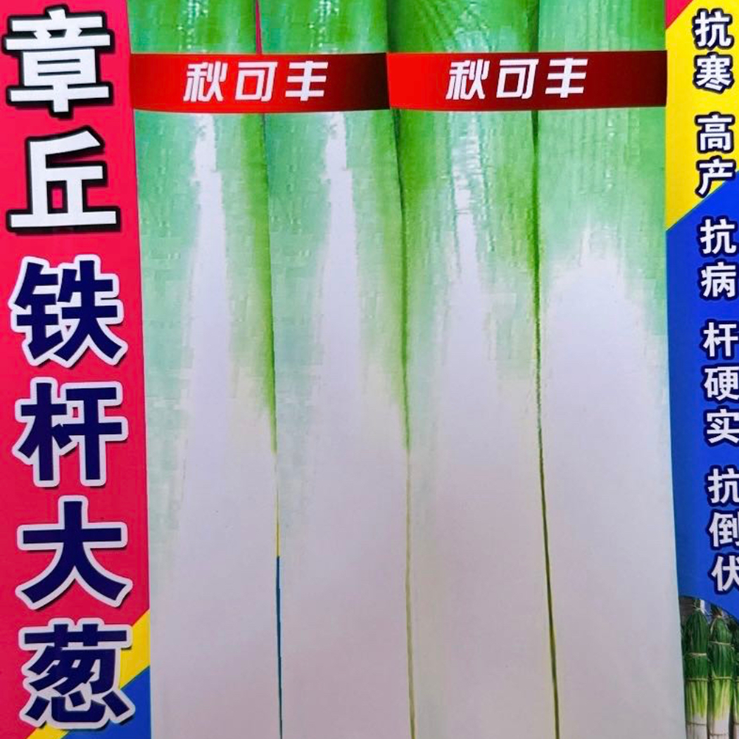 秋可丰章丘铁杆大葱种子正品山东大葱铁杆大葱东北大葱耐寒耐旱 到手价¥9.99