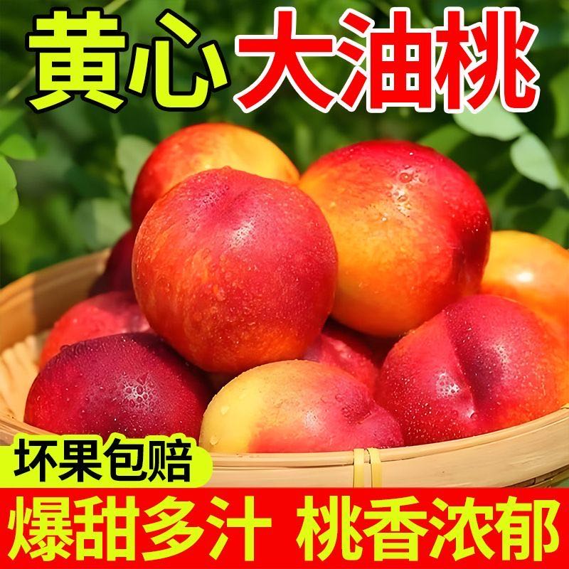【野】山东蒙阴麻点黄心油桃新鲜脆桃黄肉油桃脆甜爽口香甜爆汁 到手价¥29.90