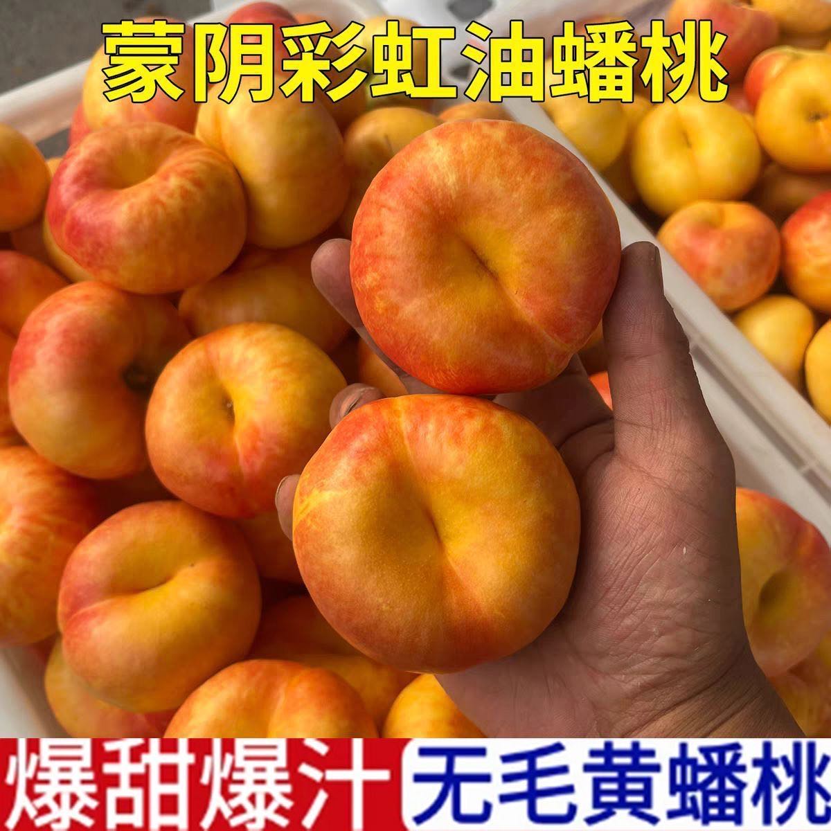 山东蒙阴黄金油蟠桃彩虹蟠桃新鲜现摘彩虹油桃脆甜当季水果zr 到手价¥29.90