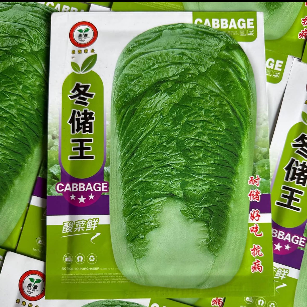 绿帮冬储王包心菜大白菜 到手价¥15.90