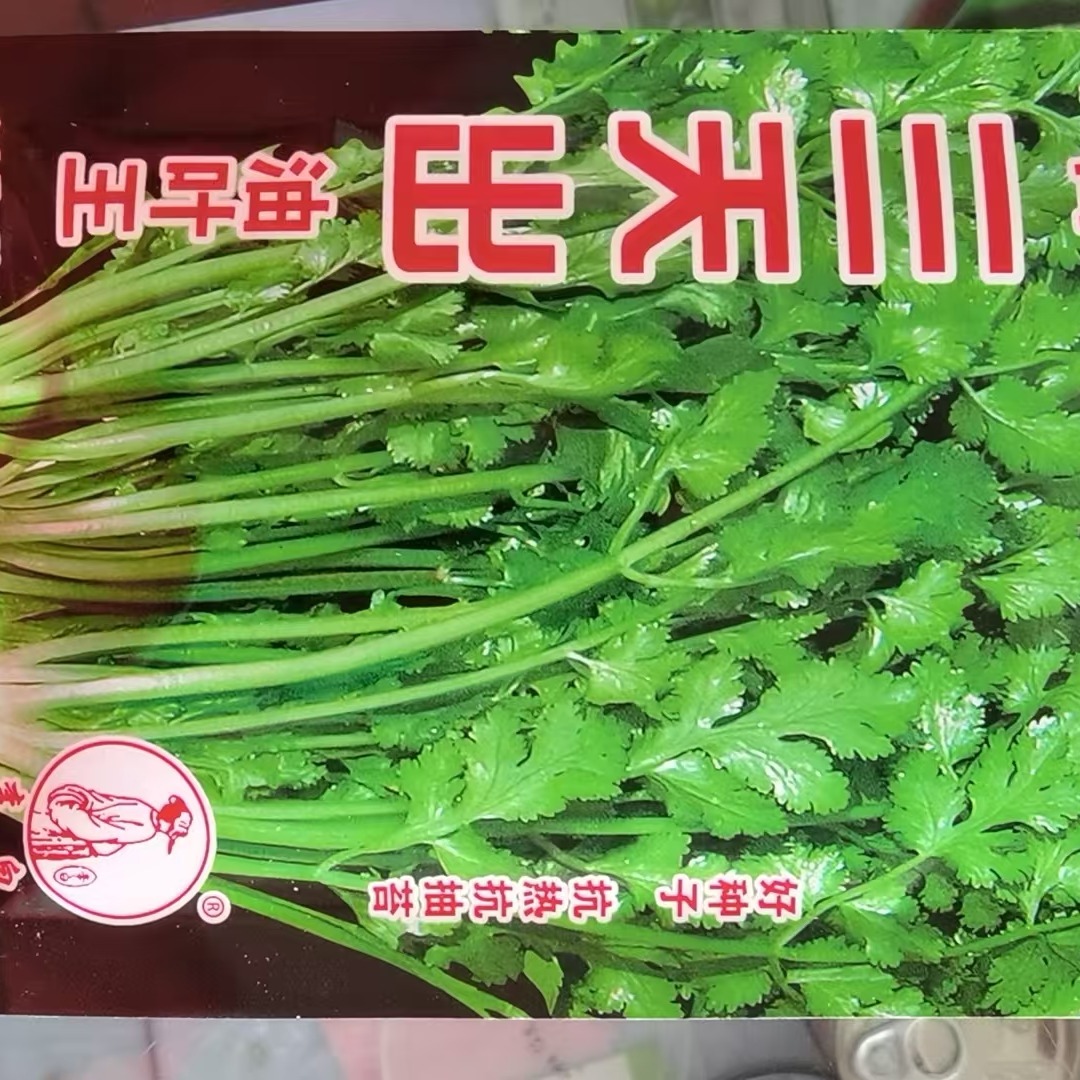 三天出油叶王香菜种子 到手价¥12.88