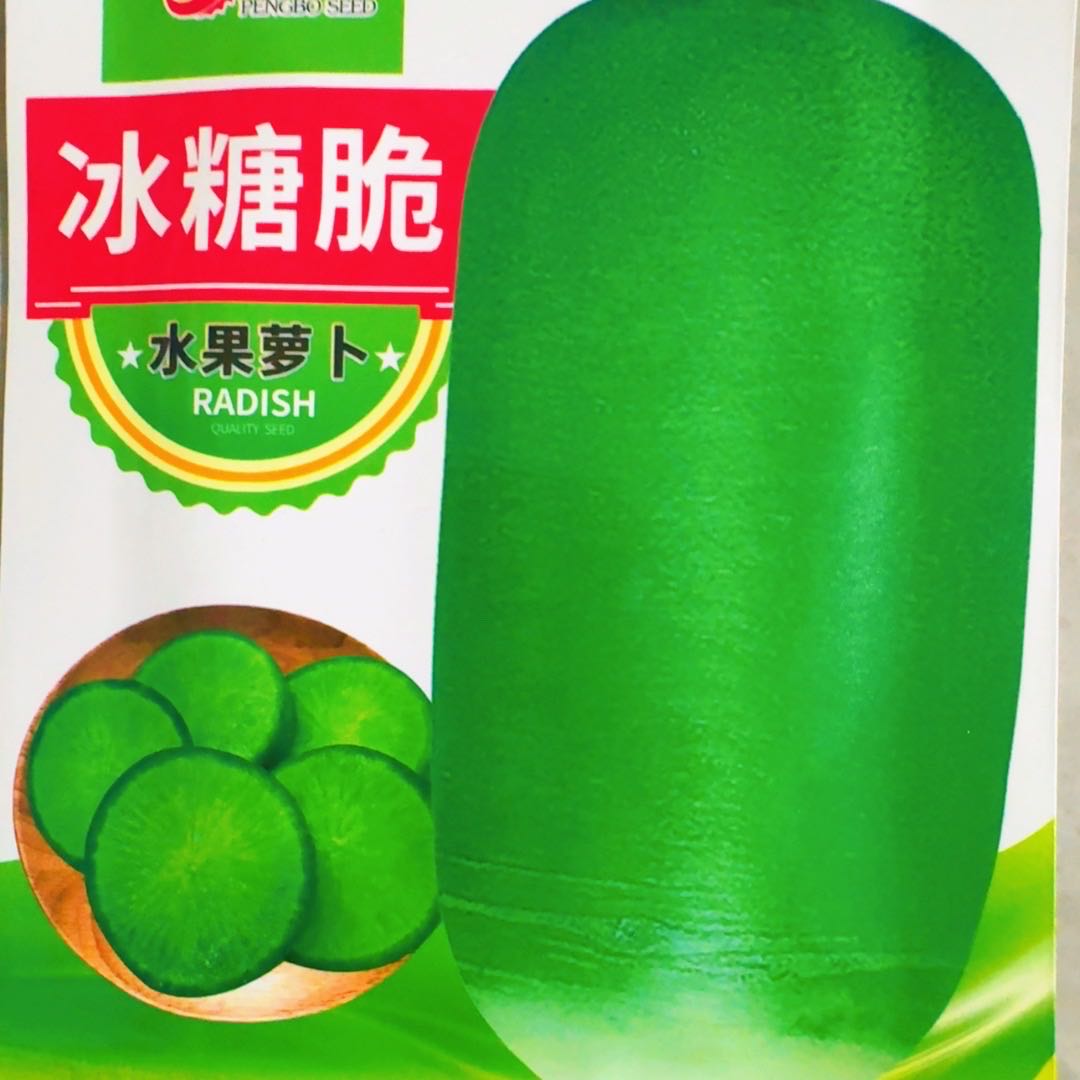 冰糖脆水果萝卜种子 图片 1
