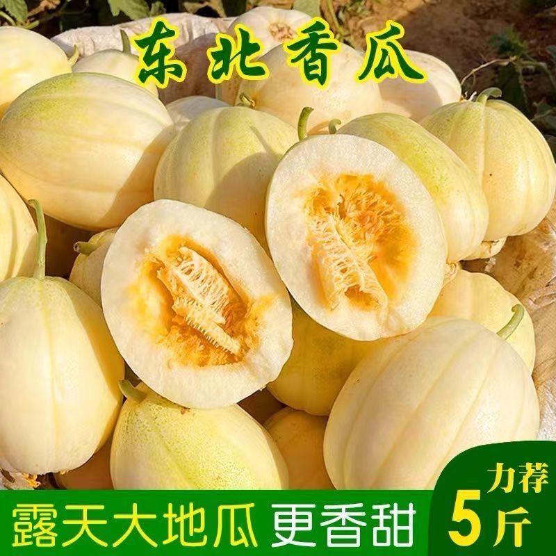 新开园东北白糖罐香瓜五斤装金妃香瓜新鲜水果整箱包邮 到手价¥45.80