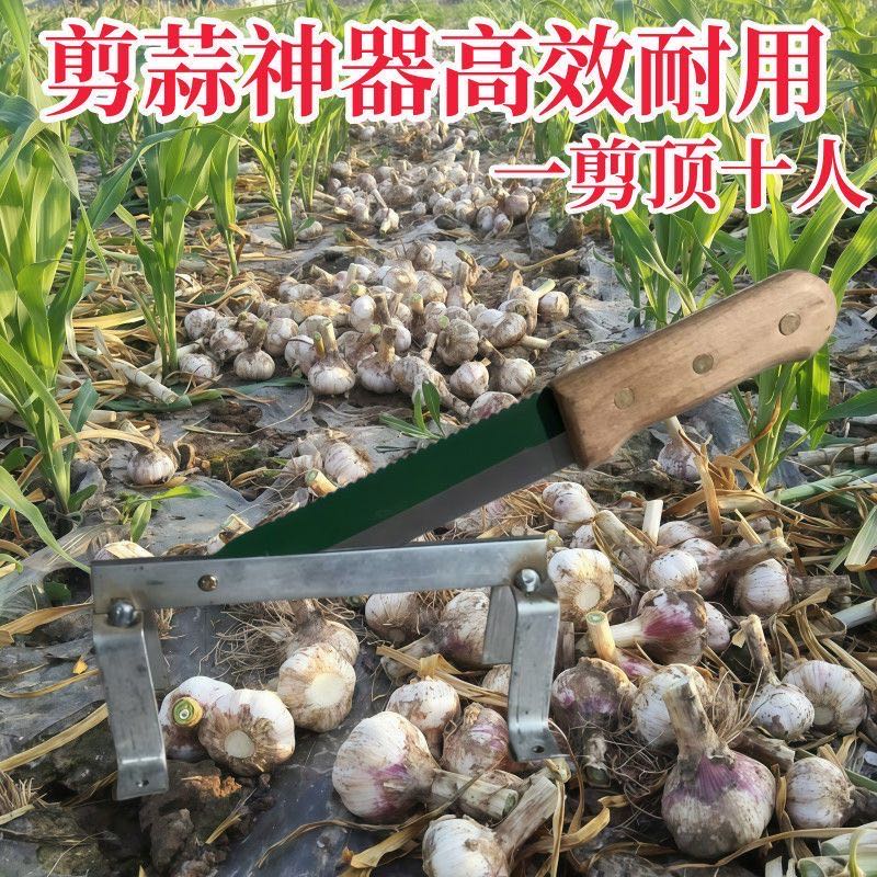 【剪蒜头神器】剪蒜须蒜根蒜杆多功能铡刀闸刀小农具大蒜专用 到手价¥9.99