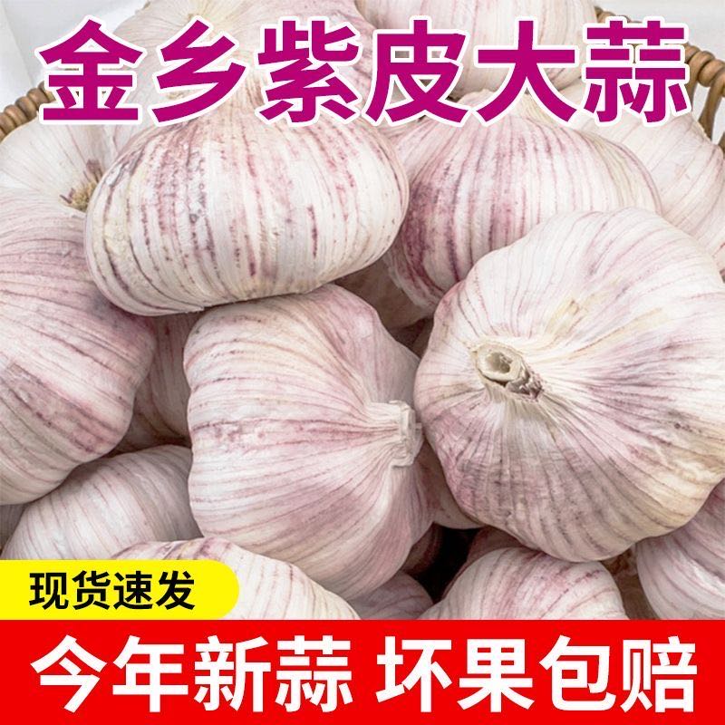 MH【9.99发25-30头】正宗山东紫白皮干大蒜家庭必备 到手价¥9.99