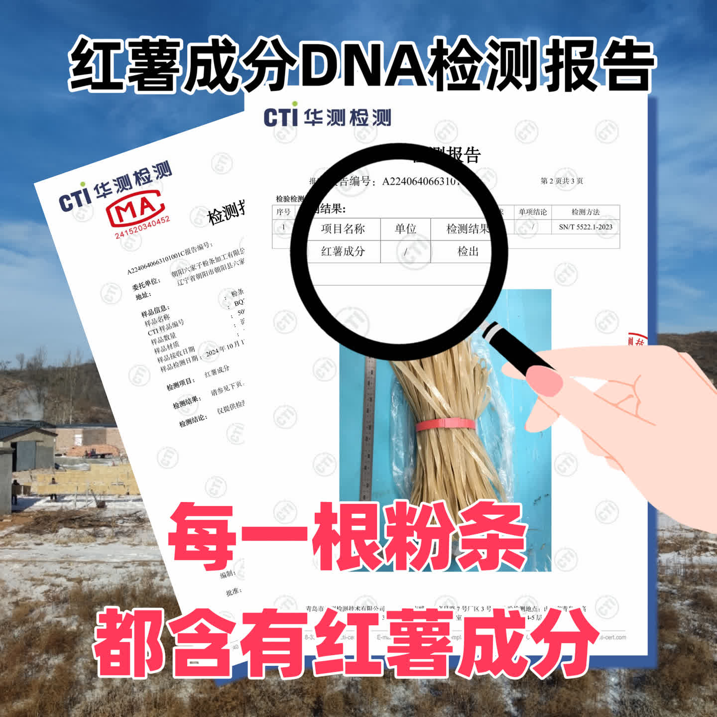 【厂家直销】六家子手工红薯粉条五斤装多规格朝阳特产无胶无色素 图片 4