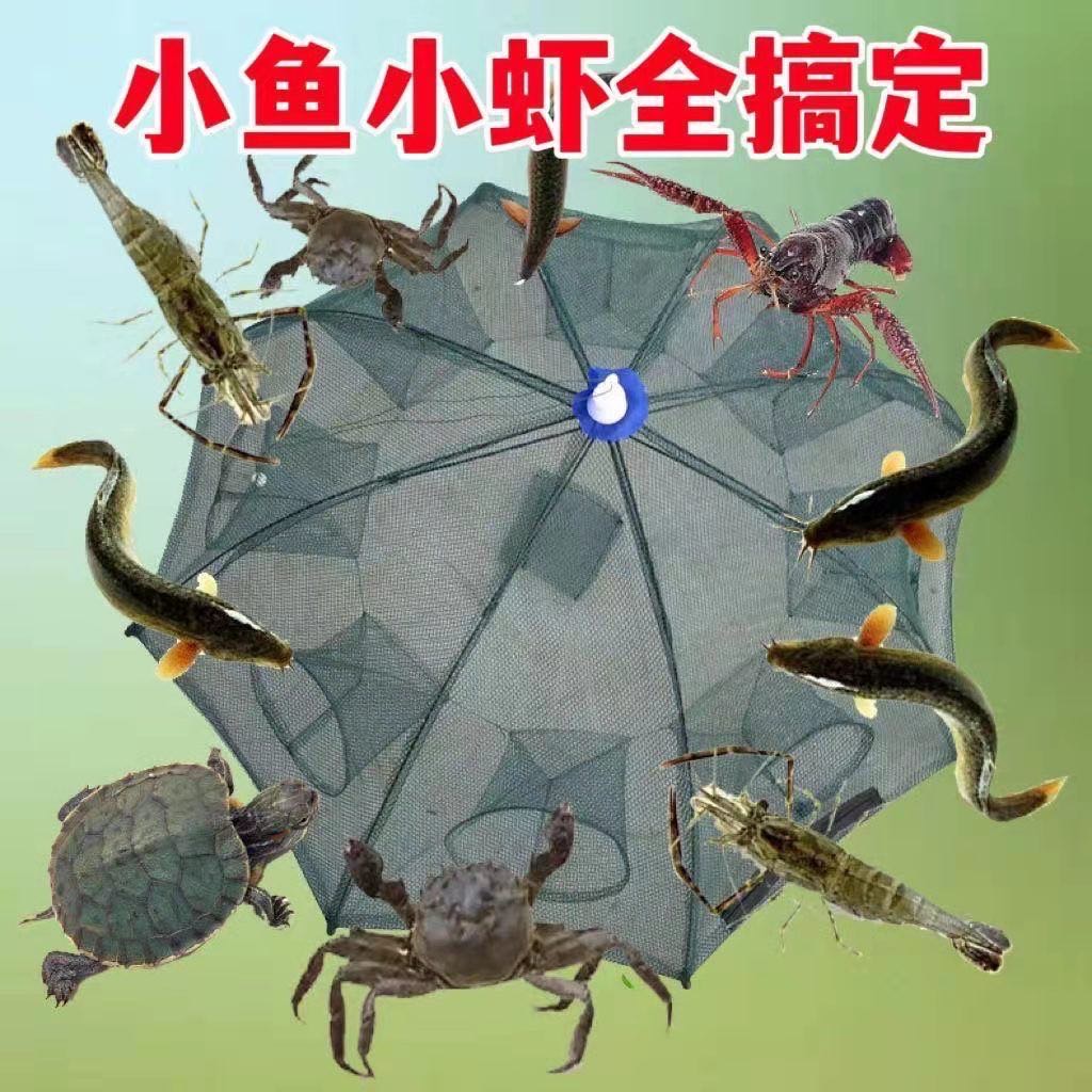 虾笼网鱼捕鱼笼捕鱼网自动神器螃蟹渔网黄鳝泥鳅渔具笼伞笼龙虾 图片 2
