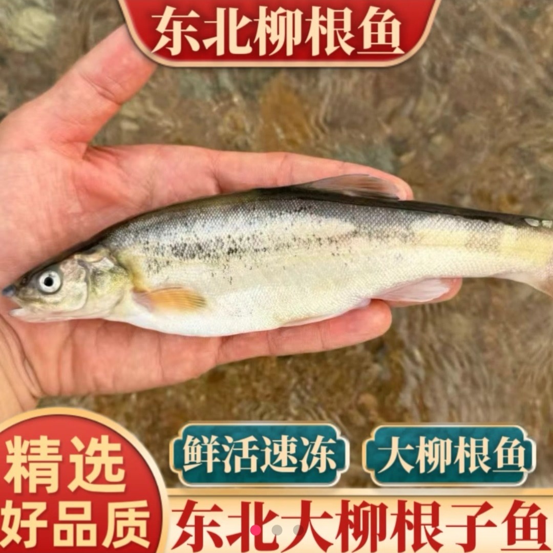 东北冷水柳根鱼8斤 顺丰包邮 冷冻发货 不支持七天无理由拒收 到手价¥666.00